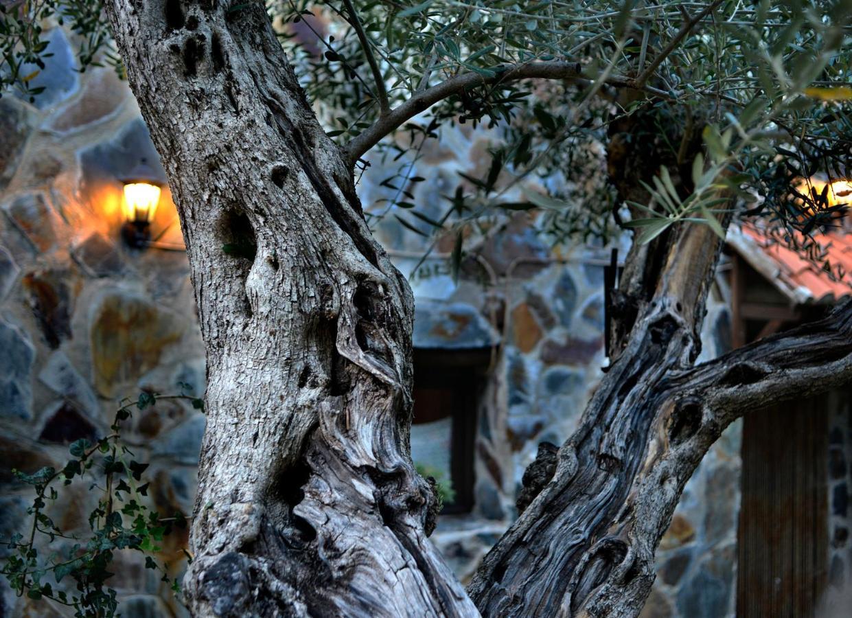 La Casita De Leire Guest House Tamajon Eksteriør bilde