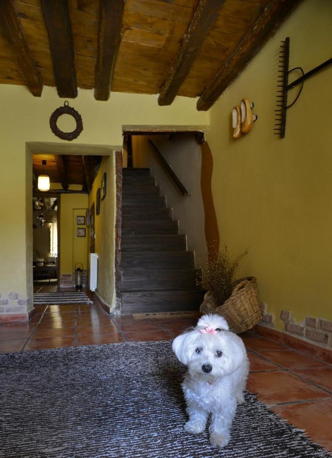 La Casita De Leire Guest House Tamajon Eksteriør bilde