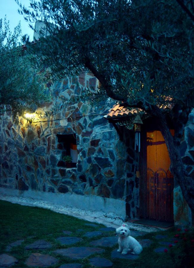 La Casita De Leire Guest House Tamajon Eksteriør bilde
