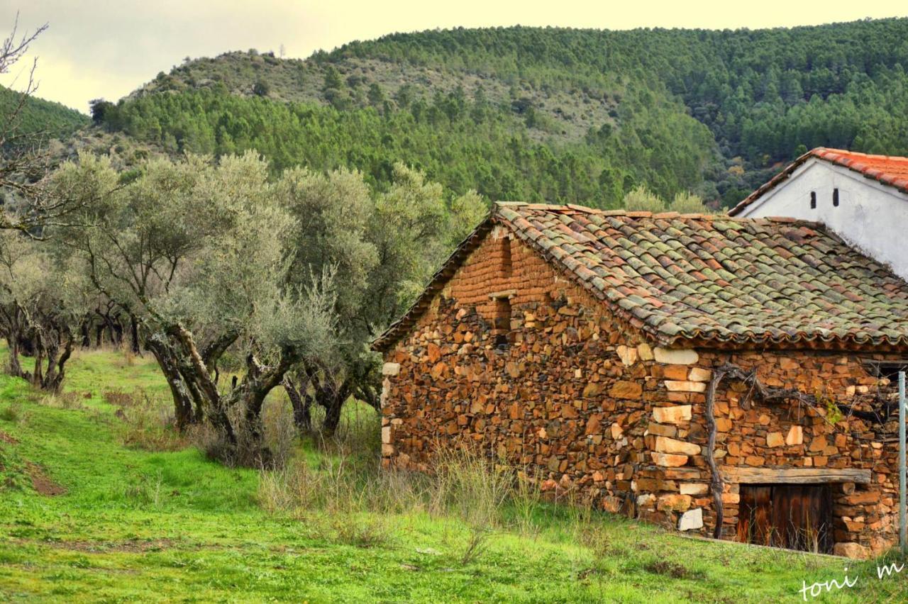 La Casita De Leire Guest House Tamajon Eksteriør bilde